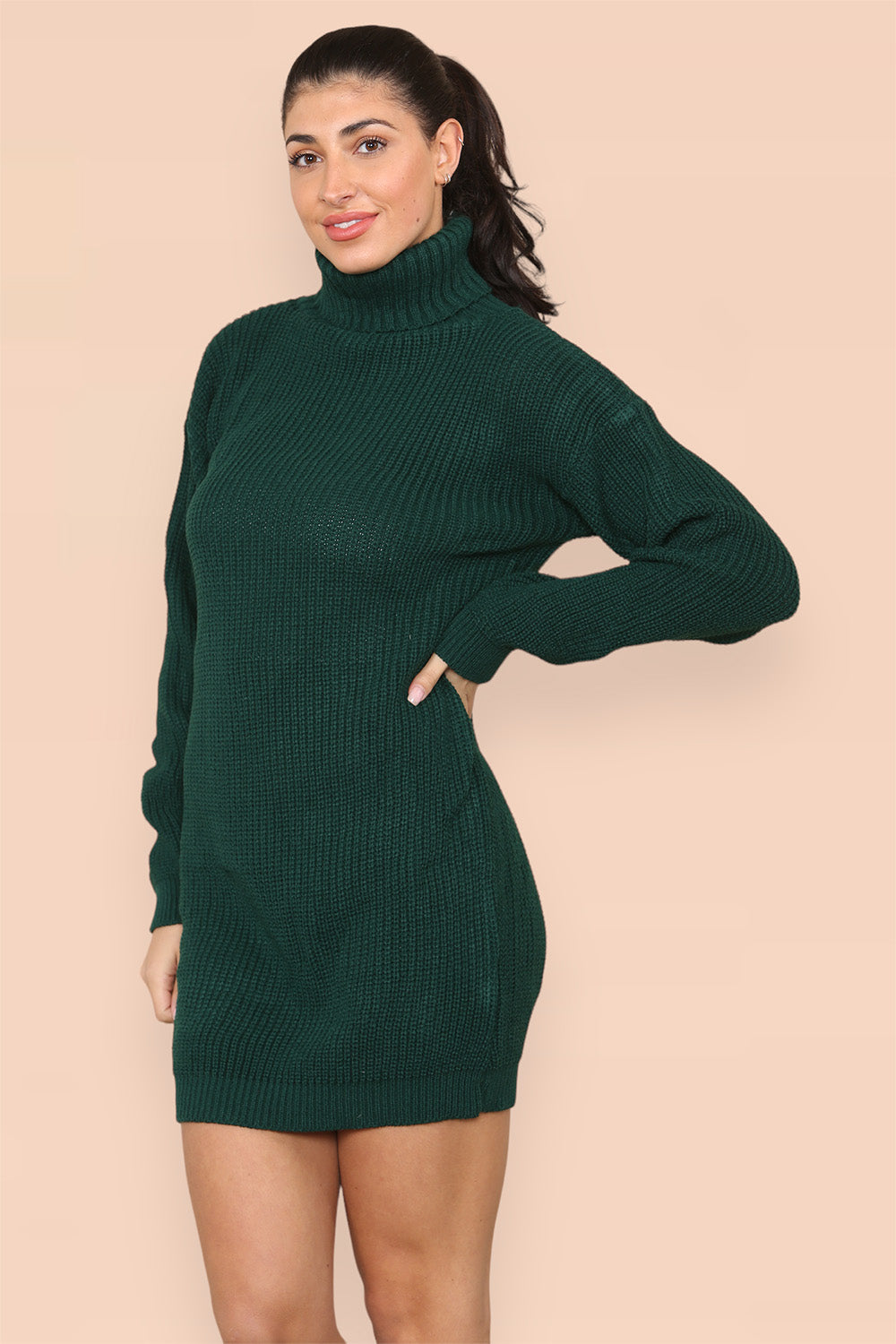 Polo Roll Neck Over Sized Ribbed Knitted Florescent Chunky Sweater Jumper Dress - AX Labels