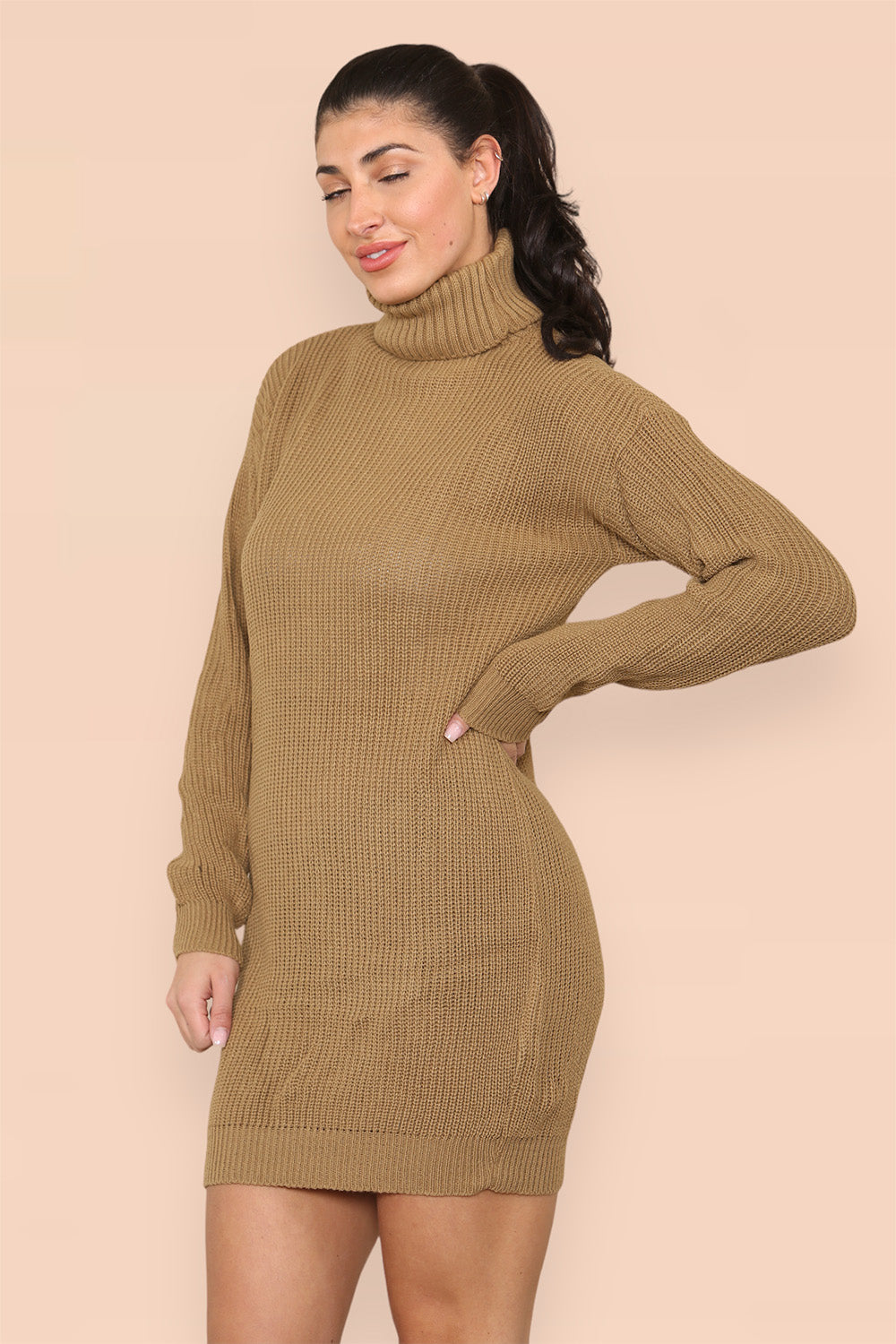 Polo Roll Neck Over Sized Ribbed Knitted Florescent Chunky Sweater Jumper Dress - AX Labels