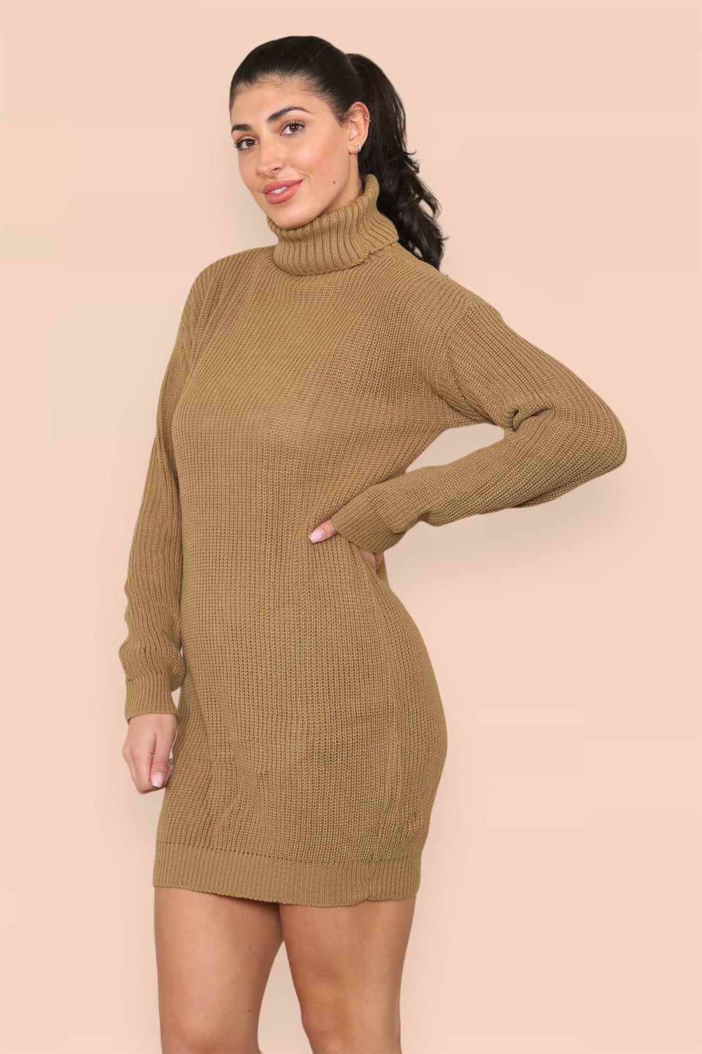 Polo Roll Neck Over Sized Ribbed Knitted Florescent Chunky Sweater Jumper Dress - AX Labels