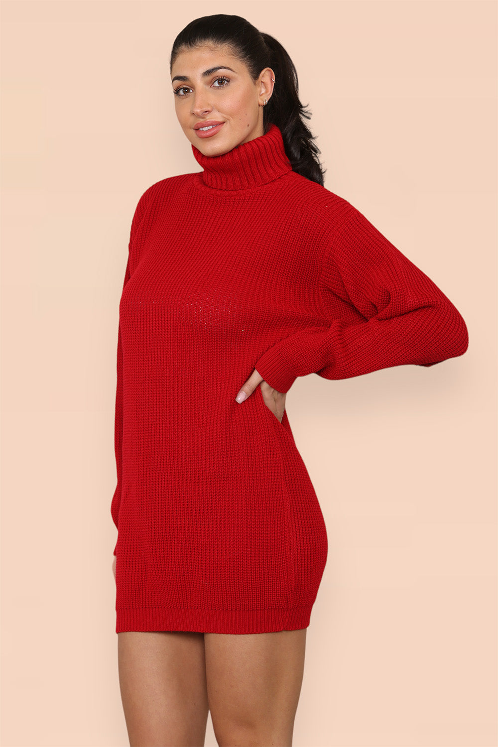 Polo Roll Neck Over Sized Ribbed Knitted Florescent Chunky Sweater Jumper Dress - AX Labels