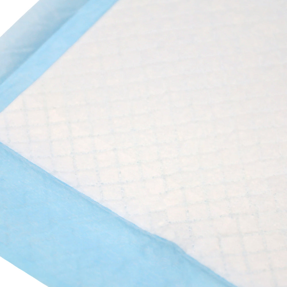 100Pack Puppy Pads 33x45cm Super Absorbent Pet Dog Training Pads Leakproof Pee Pad for Small Pets Cats Newborn Baby Floor Protection Toilet Pee Mat