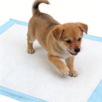 100Pack Puppy Pads 33x45cm Super Absorbent Pet Dog Training Pads Leakproof Pee Pad for Small Pets Cats Newborn Baby Floor Protection Toilet Pee Mat